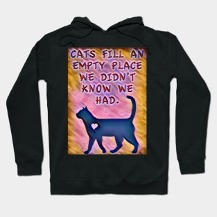 Cat Fills an Empty Space Hoodie